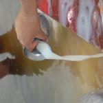 Vraj-Yatra-2014- (842)